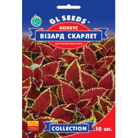 Семена - Колеус Визард Скарлет//, 10 шт.