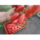 Семена – Томат Карминные свечи, 0,1 г.