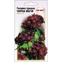 Семена - Гвоздика турецкая Черная магия, 0,3 г.
