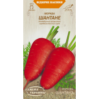 Насіння - Морква Шантане, 2 г. 