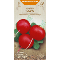 Семена - Редис Сора, 2 г.