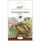 Насіння - Огірок Надя F1, для соління, Wing Seed (Голландія), 10 шт.