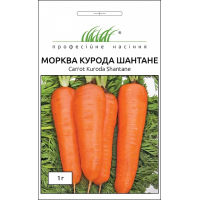 Семена - Морковь Курода Шантане, United Genetics (Италия), 1 г.