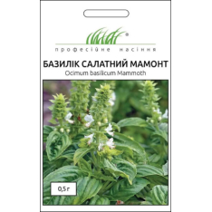 Насіння - Базилік Мамонт, салатний, Hem Zaden (Нідерланди), ...