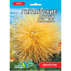 Насіння - Айстра Гігантські промені, кремово-жовта // 0,3 г. Насіння - Айстра Гігантські промені, кремово-жовта // 0,3 г.