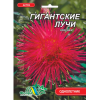 Насіння - Айстра Гігантські промені, червона // 0,3 г.