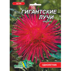 Насіння - Айстра Гігантські промені, червона // 0,3 г. Насіння - Айстра Гігантські промені, червона // 0,3 г.