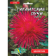 Семена - Астра Гигантские лучи, красная // 0,3 г.