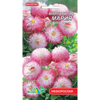 Насіння - Маргаритка Марія, 0,03 г.