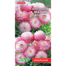 Насіння - Маргаритка Марія, 0,03 г. Насіння - Маргаритка Марія, 0,03 г.