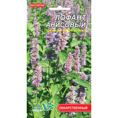 Насіння - Лофант анісовий, 0,1 г. Насіння - Лофант анісовий, 0,1 г.