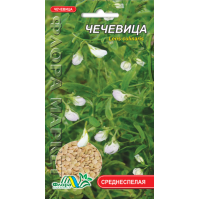 Семена - Чечевица, 5 г. Семена - Чечевица, 5 г.