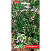 Семена - Тимьян лимонный, 0,1 г. Семена - Тимьян лимонный, 0,1 г.