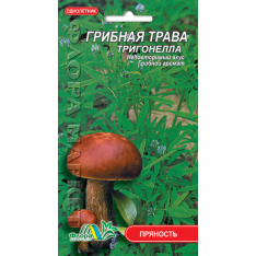 Насіння - Грибна трава Трігонелла, 0,3 г. Насіння - Грибна трава Трігонелла, 0,3 г.
