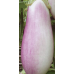 Семена - Баклажан Гандия, 0,25 г.