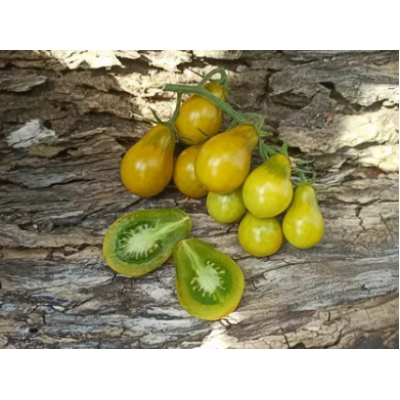 Насіння - Томат Маленька зелена груша, 0,1 г.