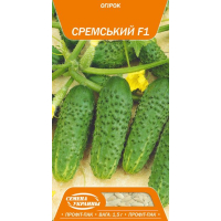 Насіння - Великий пак. - Огірок Сремський F1, 1,5 г.