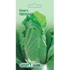 Насіння - Капуста Пекінська, 20 шт.