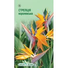Насіння - Стреліція Королівська, 5 шт. Насіння - Стреліція Королівська, 5 шт.