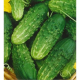 Насіння - Економ пак. - Огірок Альоша F1, 4 г.