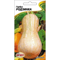 Семена - Тыква Изюминка, 10 шт.