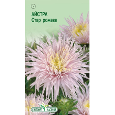 Насіння - Айстра Стар рожева, китайська, 0,1 г. Насіння - Айстра Стар рожева, китайська, 0,1 г.