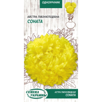 Насіння - Айстра Соната, півонієподібна, 0,25 г.