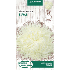 Семена - Астра Бирма, краллен, 0,25 г. Семена - Астра Бирма, краллен, 0,25 г.