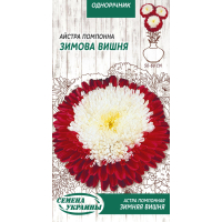 Семена - Астра Зимняя вишня, помпонная, 0,25 г.
