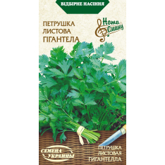 Насіння - Петрушка Гігантелла, листова, 2 г. НВ