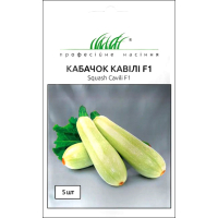 Семена - Кабачок Кавили F1, Nunhems  Zaden (Голландия), 5 шт.