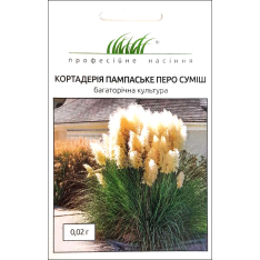 Насіння - Кортадерія Пампаське перо, суміш, W.Legutko (Польща), 0,02 г. Насіння - Кортадерія Пампаське перо, суміш, W.Legutko (Польща), 0,02 г.