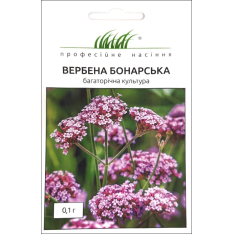 Насіння - Вербена бонарська, W.Legutko (Польща), 0,1 г. Насіння - Вербена бонарська, W.Legutko (Польща), 0,1 г.