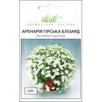 Семена - Аренария Близард, горная, Hem Zaden (Нидерланды), 0,05 г.