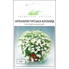 Насіння - Аренарія Блізард, гірська, Hem Zaden (Нідерланди), 0,05 г. Насіння - Аренарія Блізард, гірська, Hem Zaden (Нідерланди), 0,05 г.