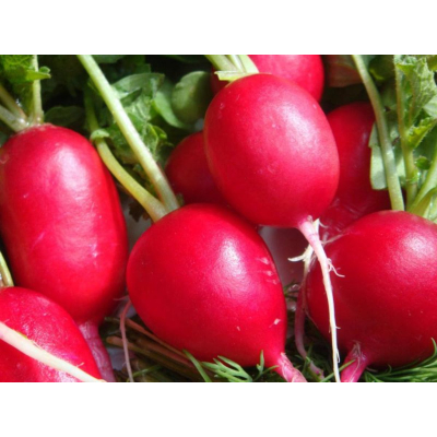 Семена - Эконом пак. - Редис Румяная бригада, 10 г.