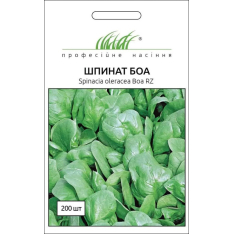 Насіння - Шпинат Боа, Rijk Zwaan (Нідерланди), 200 шт.
