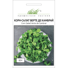 Насіння - Корн-салат Верте де Камбрай, Hem Zaden (Нідерланди...
