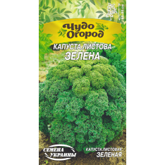 Насіння - Капуста листова зелена, 0,5 г. ЧО Насіння - Капуста листова зелена, 0,5 г. ЧО