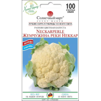 Насіння - Капуста цв. Перлина річки Неккар, 100 шт.