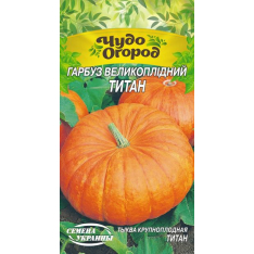 Насіння - Гарбуз Титан, 2 г. ЧО Насіння - Гарбуз Титан, 2 г. ЧО