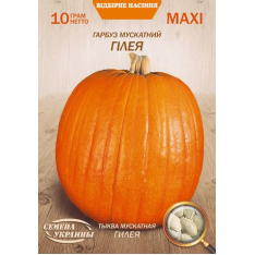 Насіння - Економ пак. - Гарбуз Гілея, 10 г.