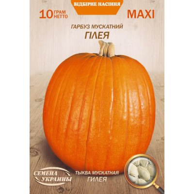 Насіння - Економ пак. - Гарбуз Гілея, 10 г.
