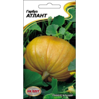 Семена - Тыква Атлант, 10 шт.