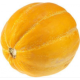 Насіння - Диня Модель, 20 шт.