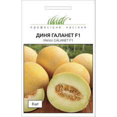 Насіння - Диня Галанет F1, United Genetics (Італія), 8 шт. Насіння - Диня Галанет F1, United Genetics (Італія), 8 шт.