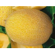 Насіння - Диня Інея, 2 г.