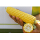 Семена - Кукуруза Спирит F1, Syngenta (Голландия), 20 шт.