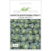 Насіння - Капуста б/г Етма F1, Rijk Zwaan (Голландія), 20 шт.