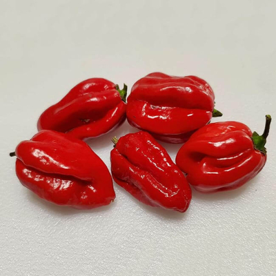 Семена - Перец острый Красная Доминика, 10 шт.